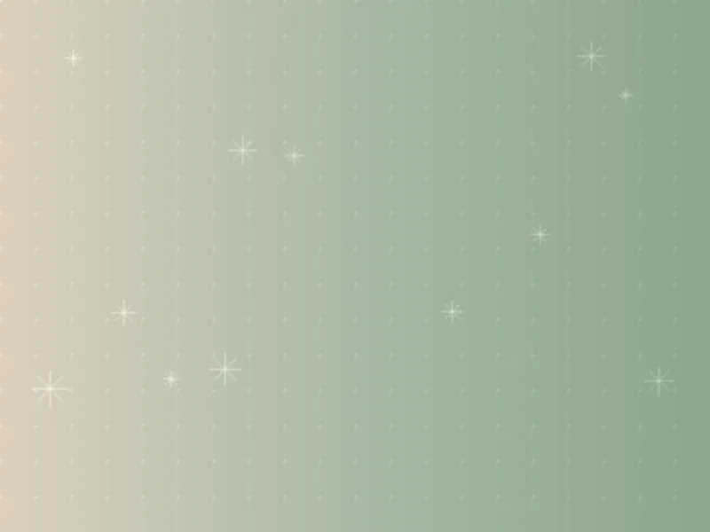 Professional cleaning service in Lucas TX – Wylie Maid & House Cleaning